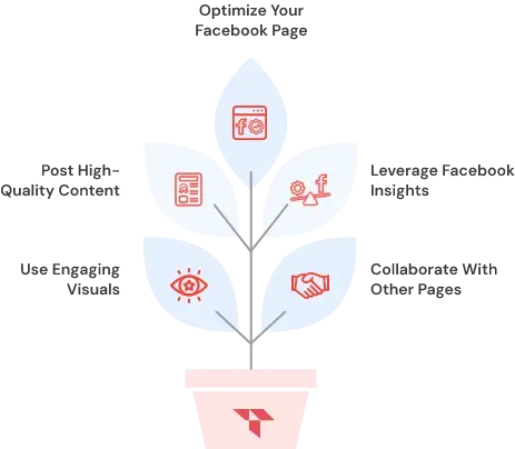 Best Organic Strategies To Grow On Facebook
